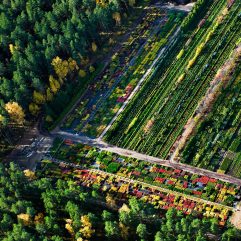 {{brizy_dc_image_alt imageSrc=